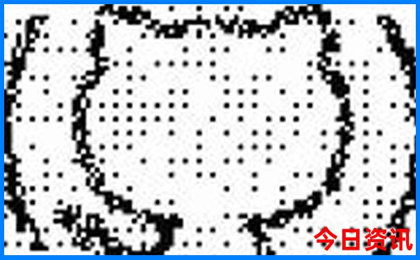 从上海去哪个城市旅游近
